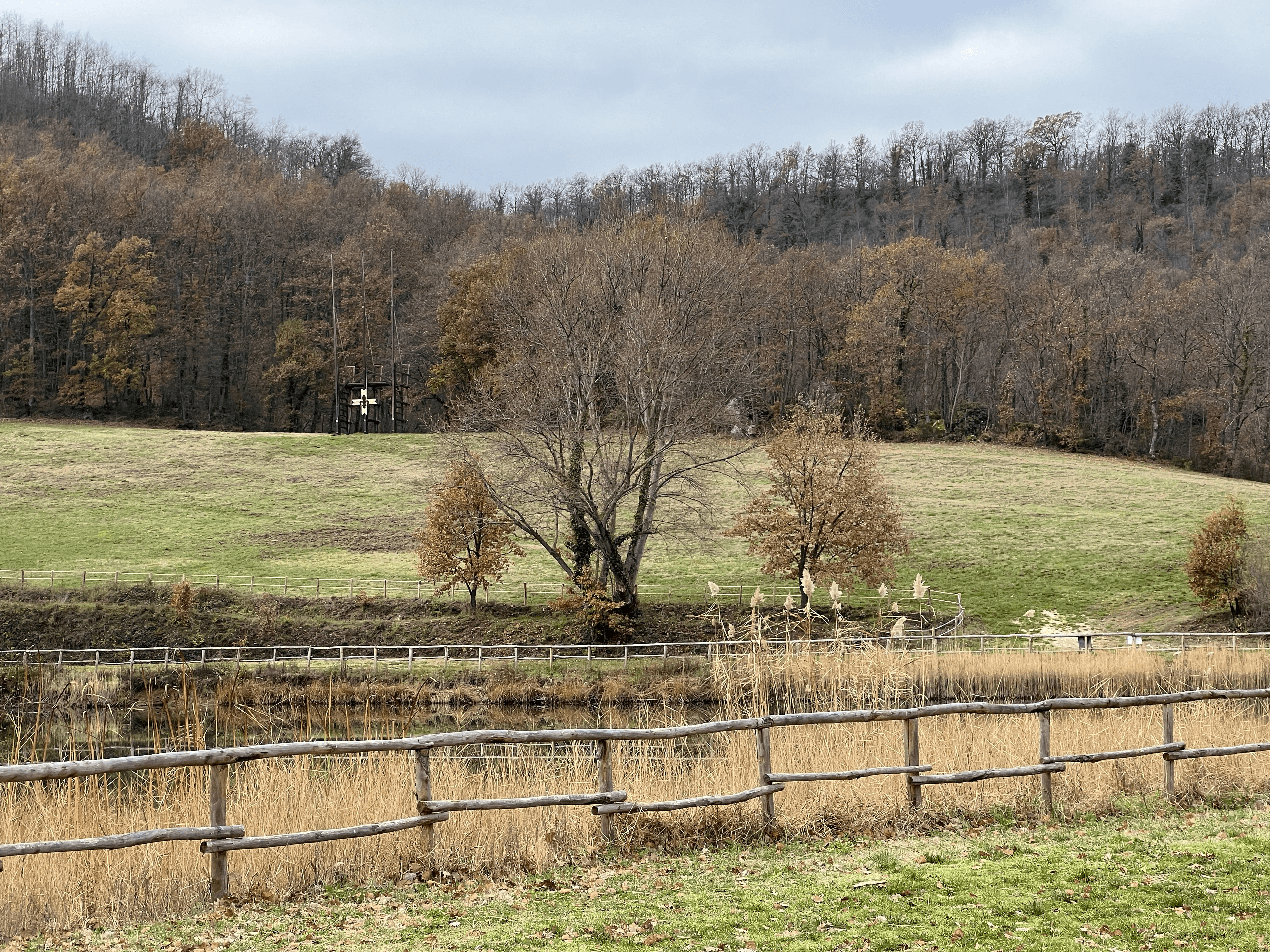 Banner - Campetto Invernale 2023